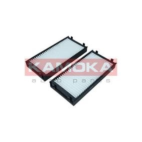 Innenraumfilter F421101