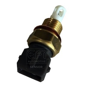 Sensor, Ansauglufttemperatur 295039