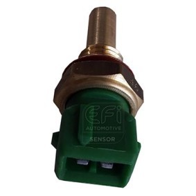 Achetez des Sonde de température, liquide de refroidissement EFI AUTOMOTIVE 295076 à prix pour 35,80 €