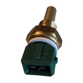 Acquista Sensore, Temperatura refrigerante da EFI AUTOMOTIVE 295079 a buon mercato per soli 37,46 €