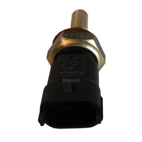 Acquista Sensore, Temperatura refrigerante da EFI AUTOMOTIVE 295133 a buon mercato per soli 44,79 €