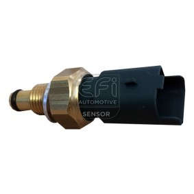 Acquista Sensore, Temperatura refrigerante da EFI AUTOMOTIVE 295138 a buon mercato per soli 61,45 €