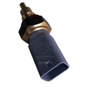 Acquista Sensore, Temperatura refrigerante da EFI AUTOMOTIVE 295146 a buon mercato per soli 55,55 €