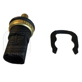 Køb Sensor, kølevæsketemp. af EFI AUTOMOTIVE 295163 til den lave pris 517,46 DKK