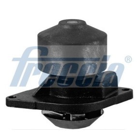 Acquista Pompa acqua da FRECCIA WP0593 a buon mercato per soli 87,61 €