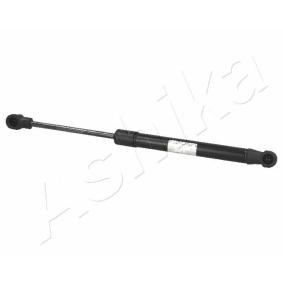 Heckklappendämpfer ZSA00025
