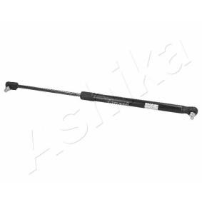 Heckklappendämpfer ZSA00042