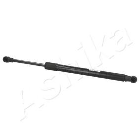 Heckklappendämpfer ZSA01005