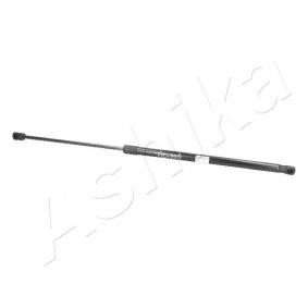 Heckklappendämpfer ZSA01009