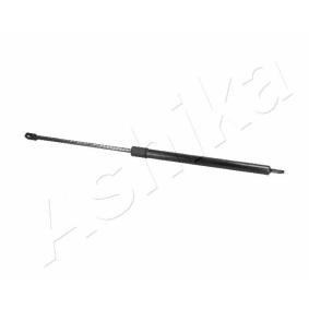 Heckklappendämpfer ZSA01010 für BMW