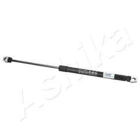 Heckklappendämpfer ZSA01012