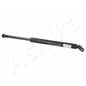 Heckklappendämpfer ZSA01023