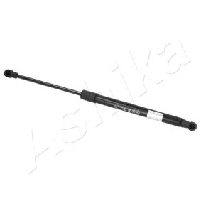 Heckklappendämpfer ZSA01043