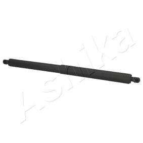 Heckklappendämpfer ZSA01045