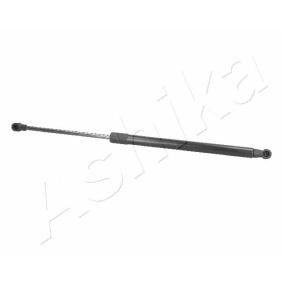 Heckklappendämpfer ZSA01059