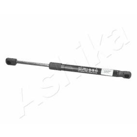 Heckklappendämpfer ZSA01069