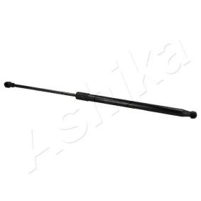 Heckklappendämpfer ZSA02012