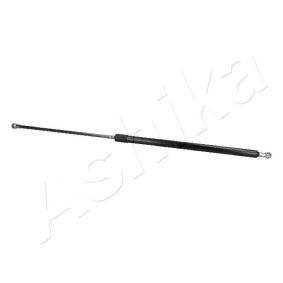 Heckklappendämpfer ZSA02055
