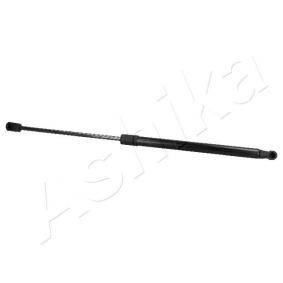 Heckklappendämpfer ZSA02060