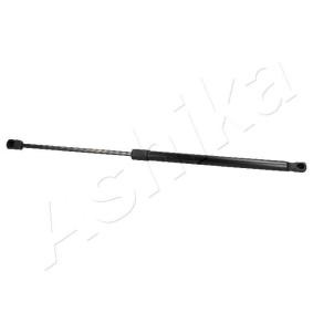Heckklappendämpfer ZSA02067
