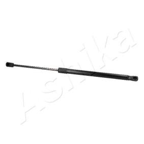 Heckklappendämpfer ZSA02068