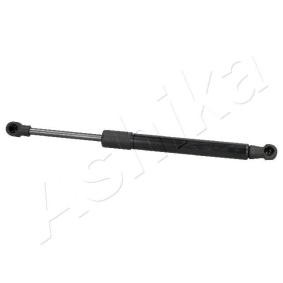 Heckklappendämpfer ZSA02074