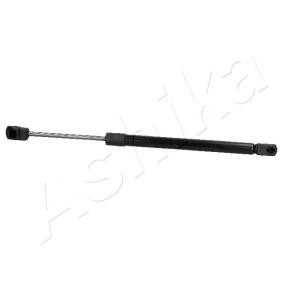 Heckklappendämpfer ZSA03026