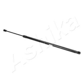 Kofferraum von ASHIKA für C-Max II (DXA/CB7, DXA/CEU) günstig online kaufen