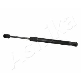 Heckklappendämpfer ZSA03046