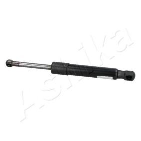 Heckklappendämpfer ZSA05009
