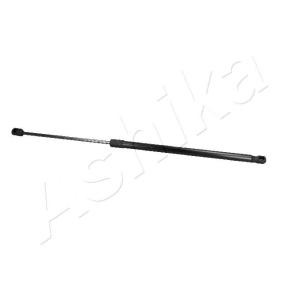 Heckklappendämpfer ZSA05024