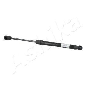 Heckklappendämpfer ZSA05028
