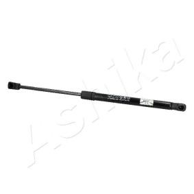 Heckklappendämpfer ZSA05052