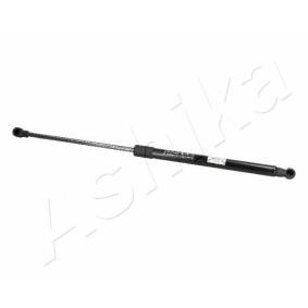 Heckklappendämpfer ZSA06020