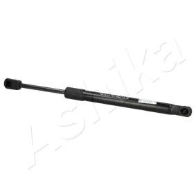 Heckklappendämpfer ZSA07062