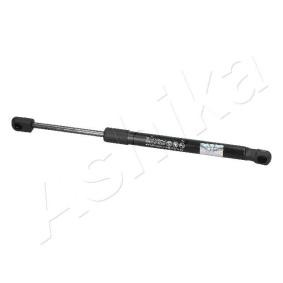 Heckklappendämpfer ZSA09043