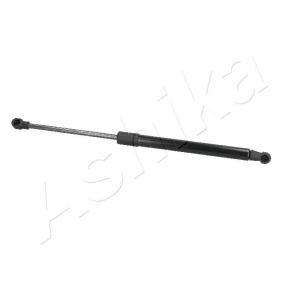Heckklappendämpfer ZSA09053
