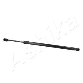 Heckklappendämpfer ZSA09054