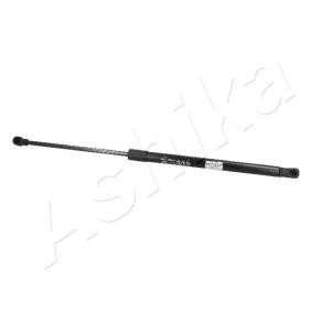 Heckklappendämpfer ZSA09069