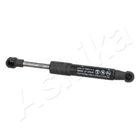 Heckklappendämpfer ZSA09086