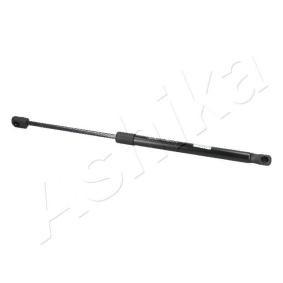 Heckklappendämpfer ZSA09092