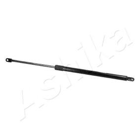 Heckklappendämpfer ZSA09224