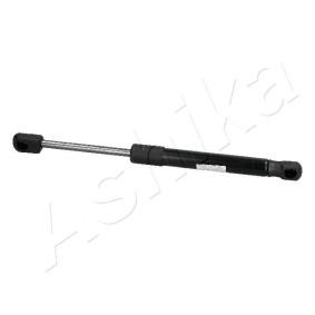 Heckklappendämpfer ZSA10042