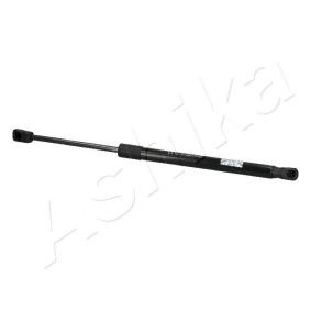 Heckklappendämpfer ZSA10053