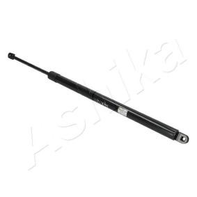 Heckklappendämpfer ZSA20001