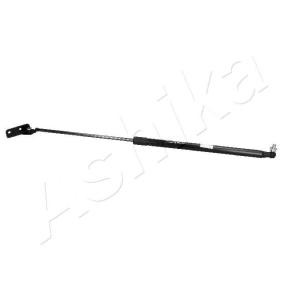 Heckklappendämpfer von ASHIKA