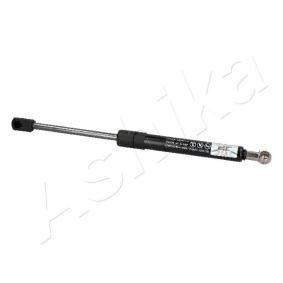 Heckklappendämpfer ZSA90010
