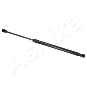 Heckklappendämpfer ZSAK0010