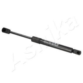 Heckklappendämpfer ZSAW0003