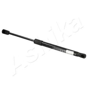 Heckklappendämpfer ZSAW0007